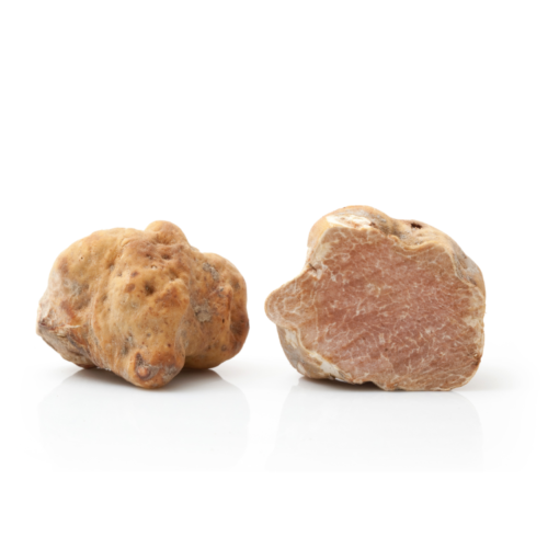 Fresh Truffle – White Truffle Tuber Magnatum (Alba Truffle) 1g