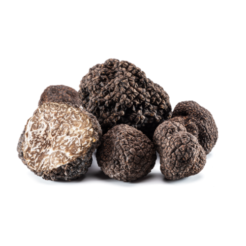 Fresh Truffle – Black Truffle Tuber Brumale (Winter Truffle) 1g