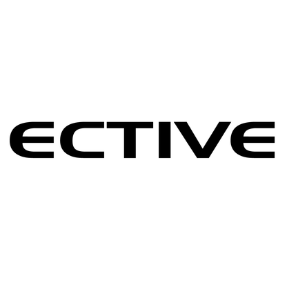 ECTIVE DC S AGM Deep Cycle mit LCD-Anzeige Versorgungsbatterie