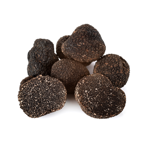 Trufa fresca – Trufa negra Tuber Melanosporum (Trufa de Perigord) 1 g