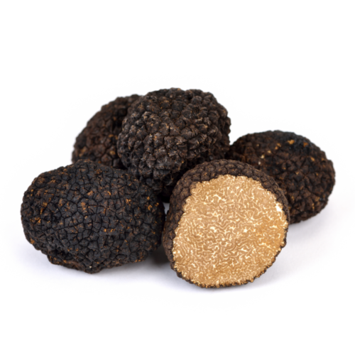 Fresh Truffle – Black Truffle Tuber Uncinatum (Burgundy Truffle)