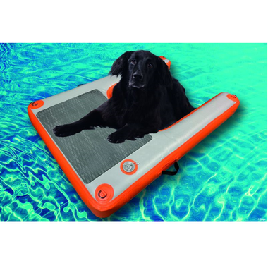 hundekissen waschbar Hundebett Baumwolle VISCO orthopädisch ideal für Allergiker, waschbar –  Waidgold main image 0